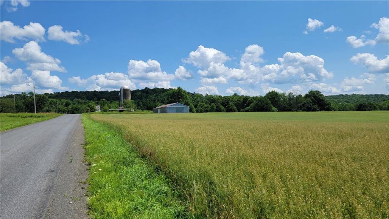 0 Monson Road, Edmeston, NY 13335