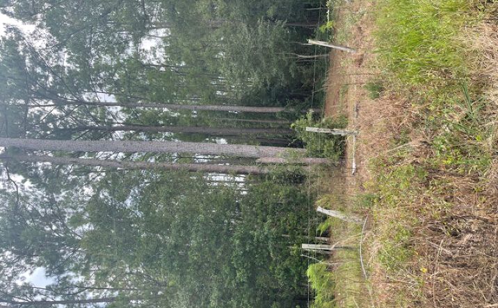 Pictures of Land property located at 1945 SW SR 247 (01), Lake City, FL 32024 for sales - image #1
