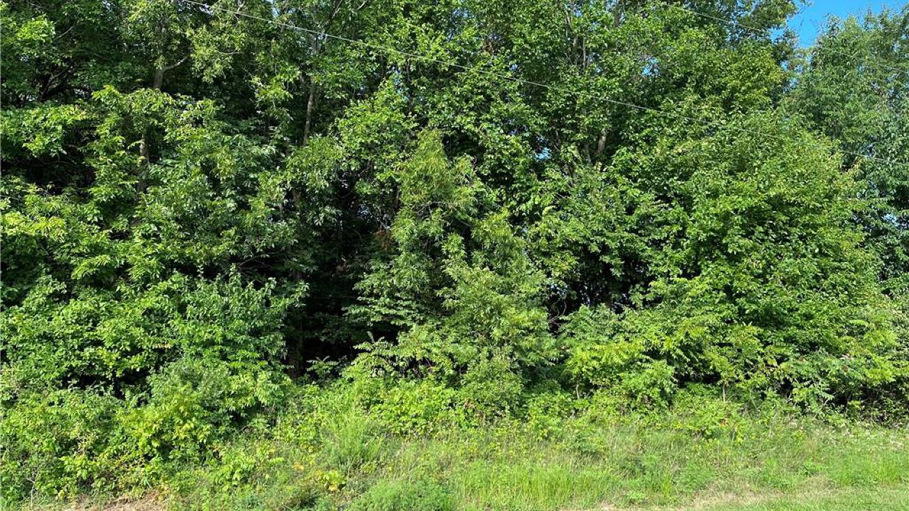 161169 Linn Valley Boulevard, Linn Valley, KS 66046