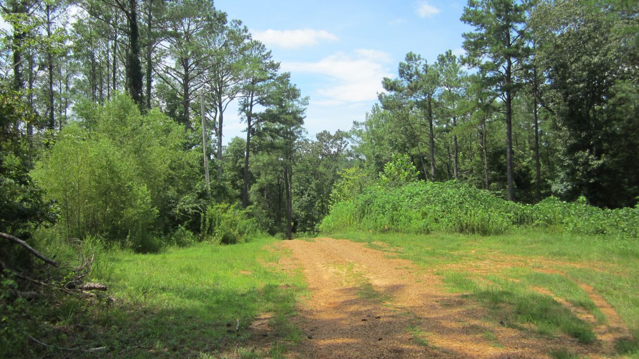 5.47± acre Marshall County, Holly Springs, MS 38634