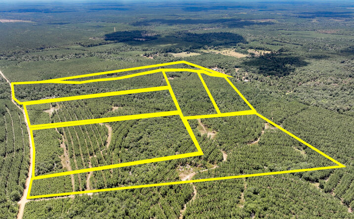 Pictures of Land property located at 07 County Road 1420, Warren, TX 77664 for sales - image #1