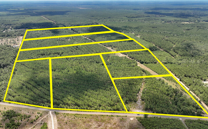 Pictures of Land property located at 18 County Road 1420, Warren, TX 77664 for sales - image #1