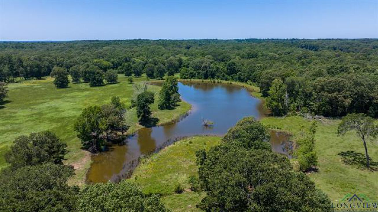 TBD Golden Hill Church Rd, Hallsville, TX 75650