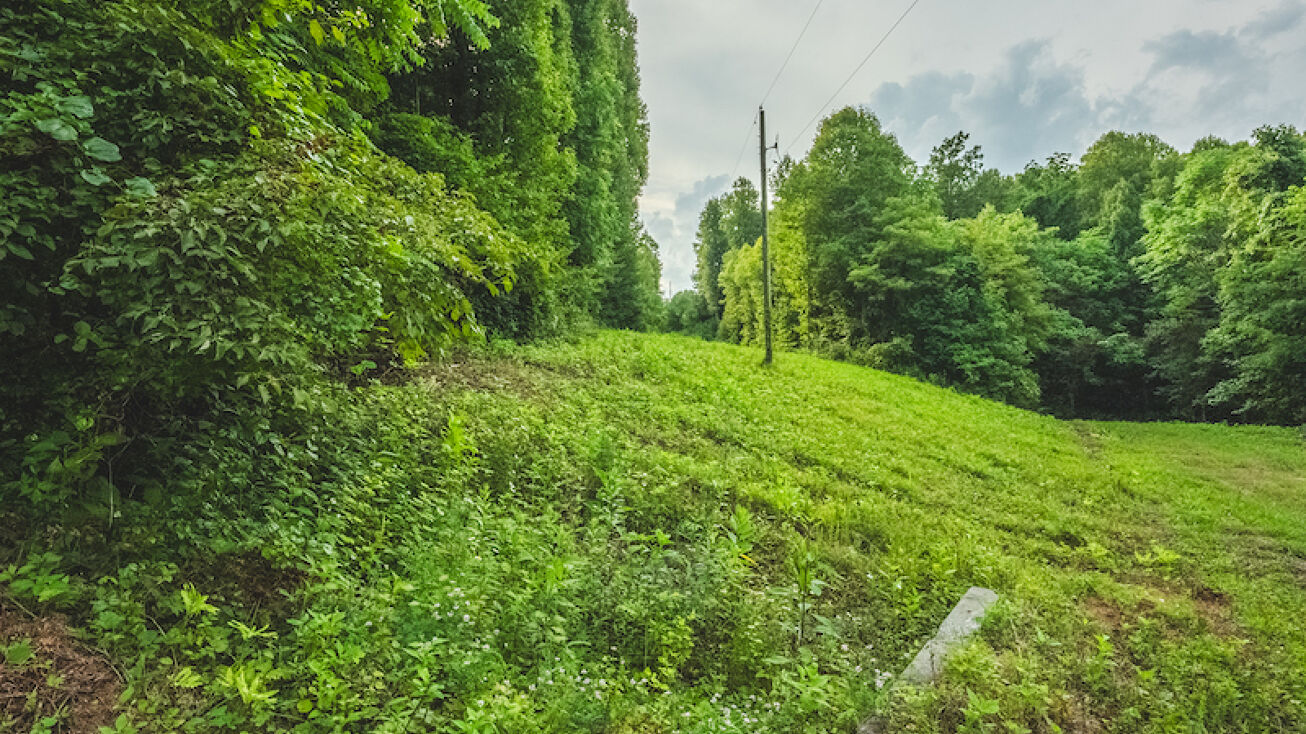 Lot 15 Woolwine Hwy, Woolwine, VA 24185