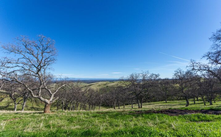 Pictures of Land property located at Mc Auliffe Rd, Ono, CA 96047 for sales - image #1