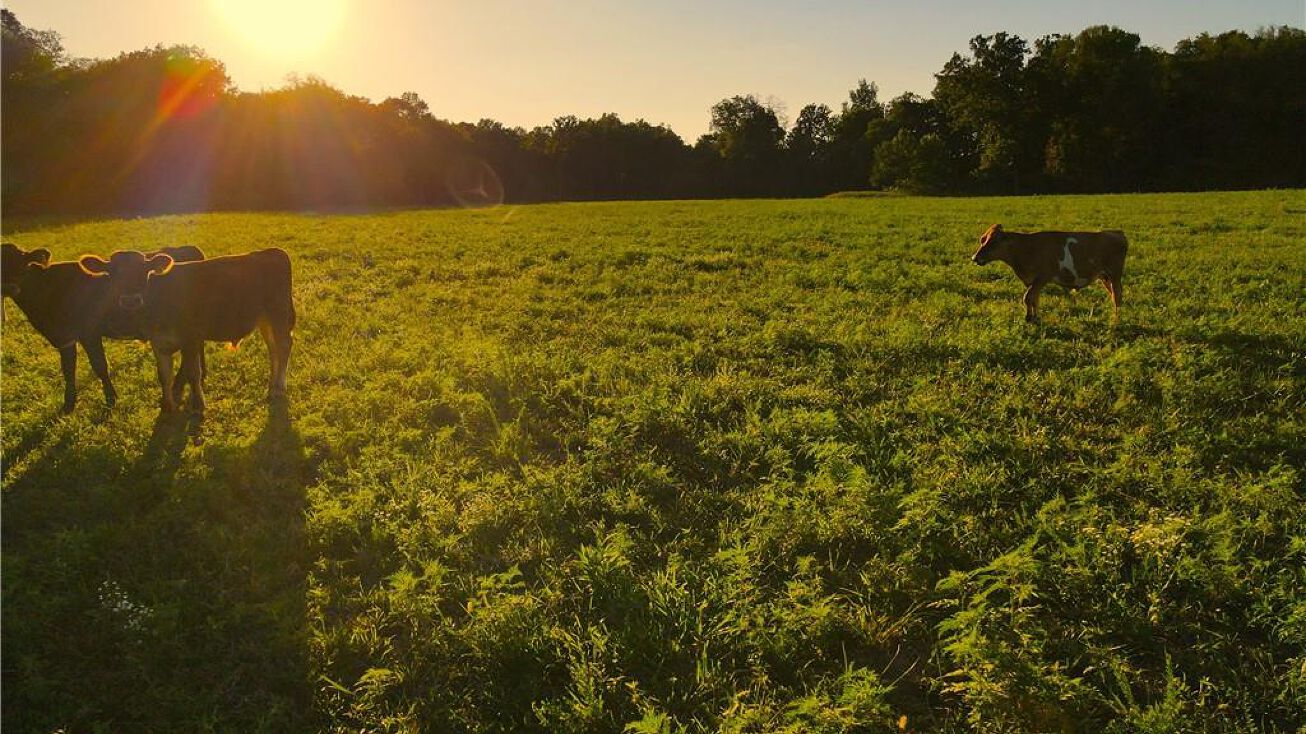 20330 S C Highway, Jerico Springs, MO 64756