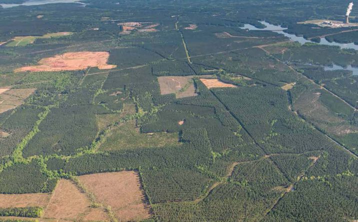 Pictures of Land property located at Christian Chapel Church Road, New Hill, NC 27562 for sales - image #1