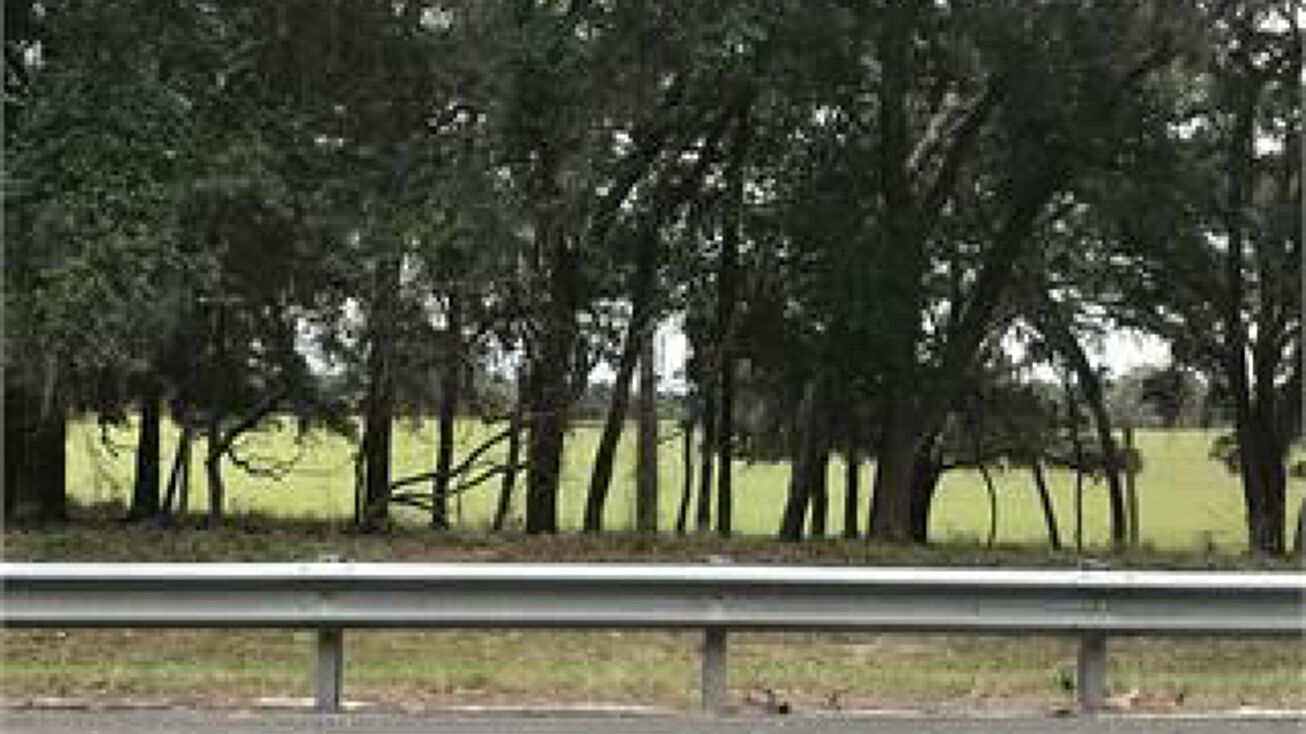 476, 302121, Bushnell, FL 33513