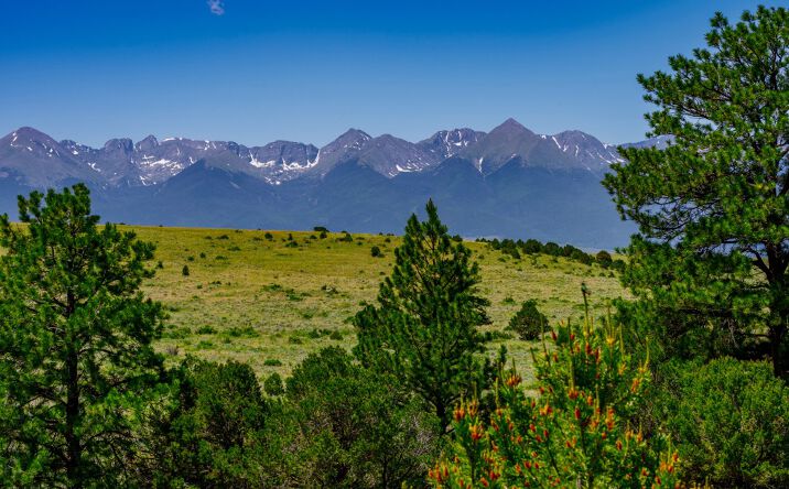 Pictures of Land property located at 525 Brush Hollow Rd, Westcliffe, CO 81252 for sales - image #1