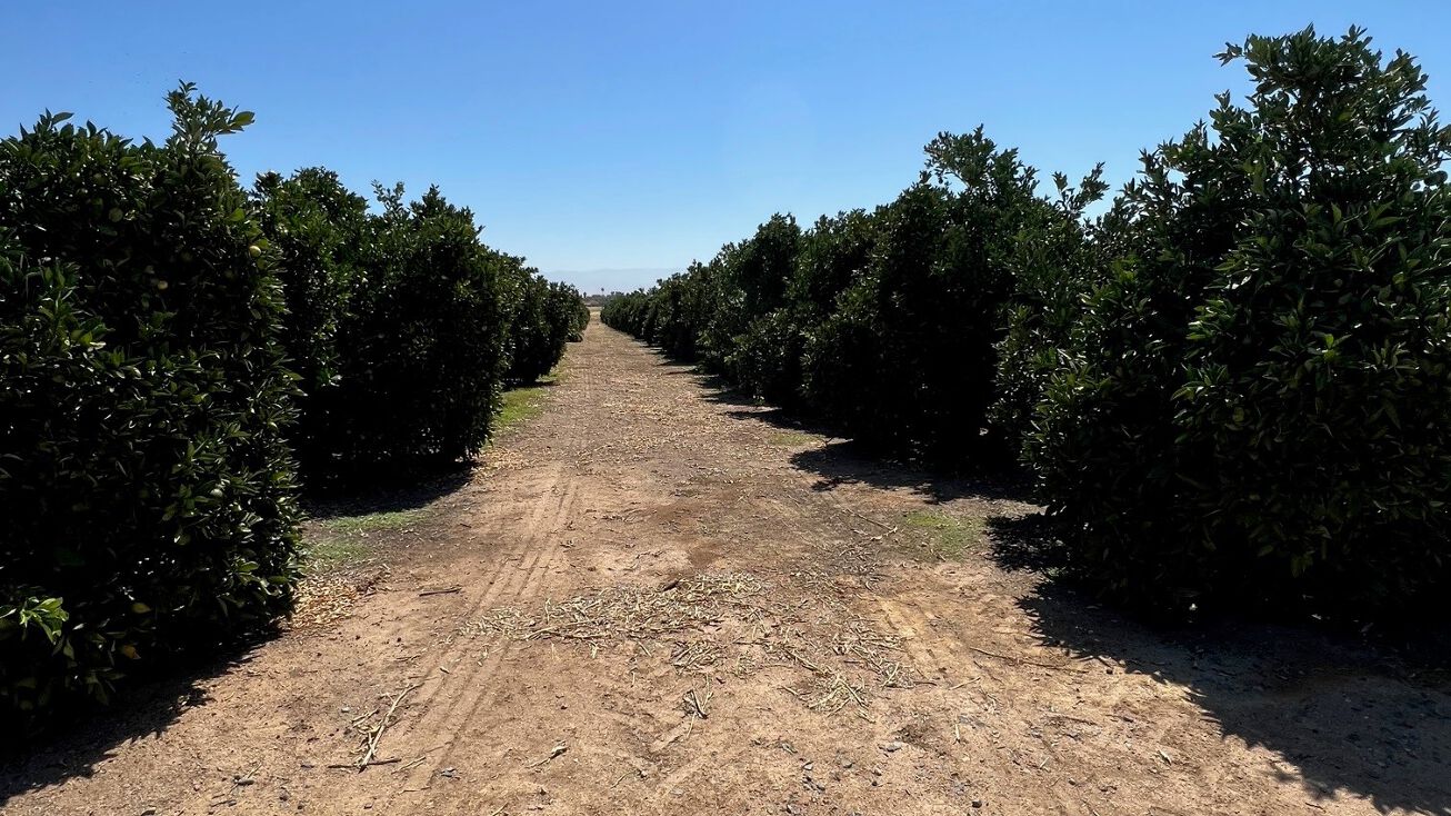 Ave 72, Terra Bella, CA 93270