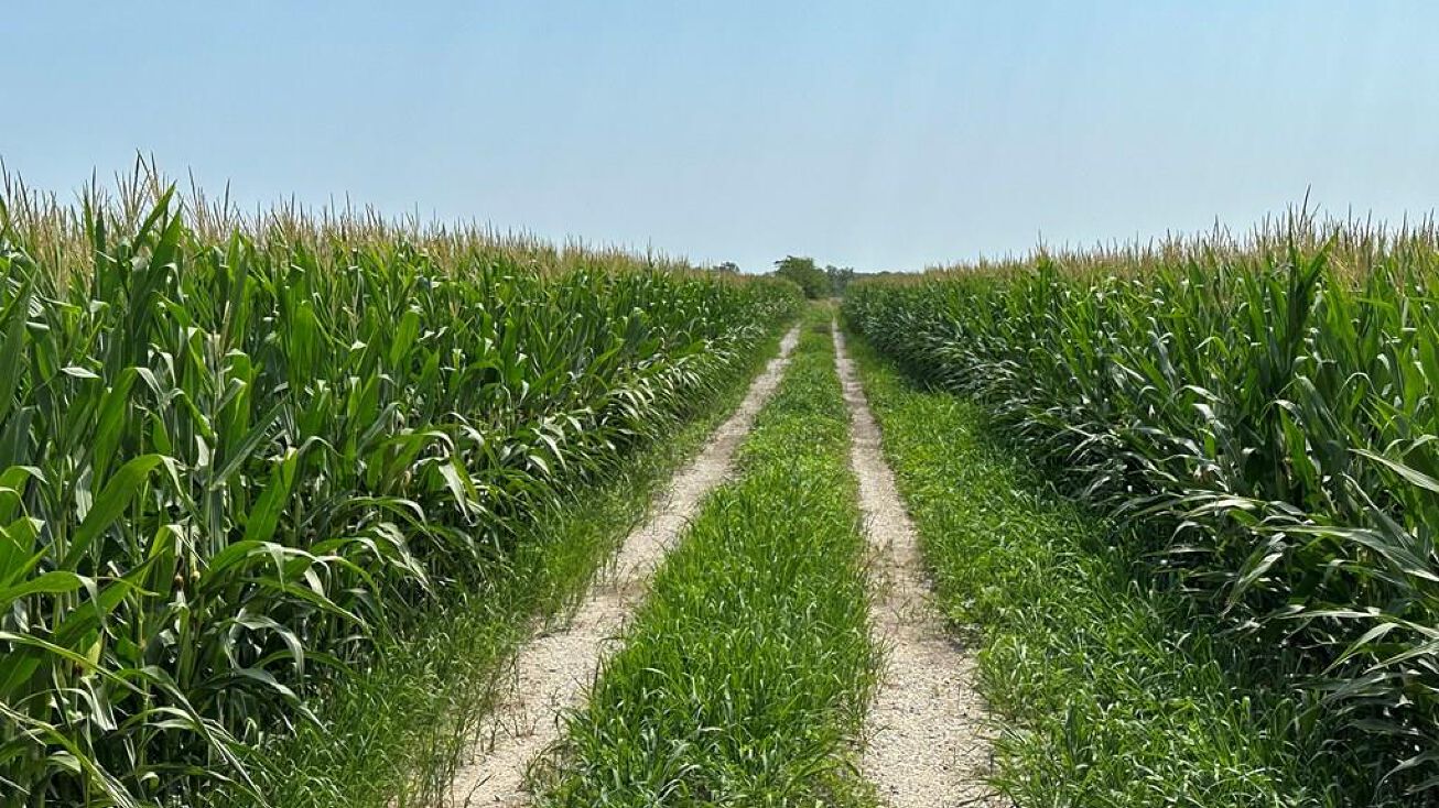 50512 Elk Road, Edina, MO 63537