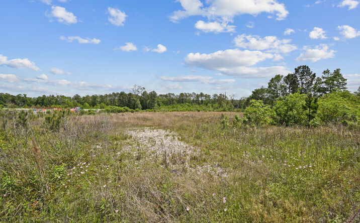 Pictures of Retail, Land property located at 00 FM 1314 Porter, Porter, TX 77365 for sales - image #1