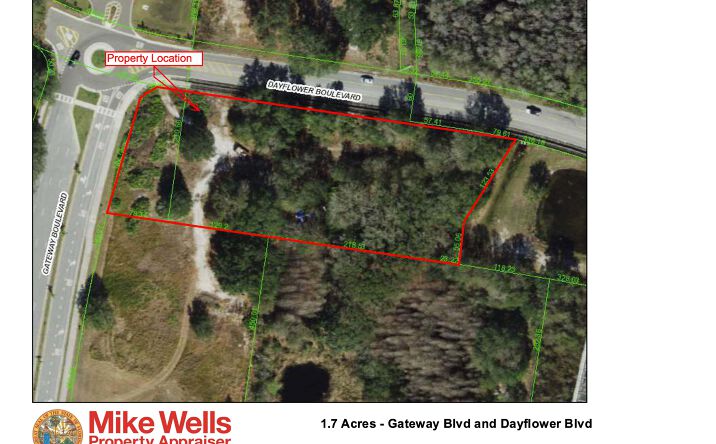 Pictures of Land property located at SE corner of Dayflower Boulevard and Gateway Blvd, Wesley Chapel, FL 33544 for sales - image #1