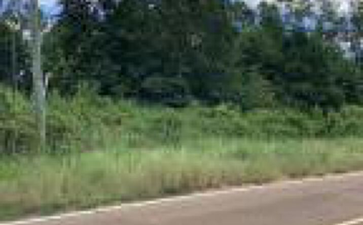 Pictures of Land property located at 000 Hwy. 16 West, Philadelphia, MS 39350 for sales - image #1