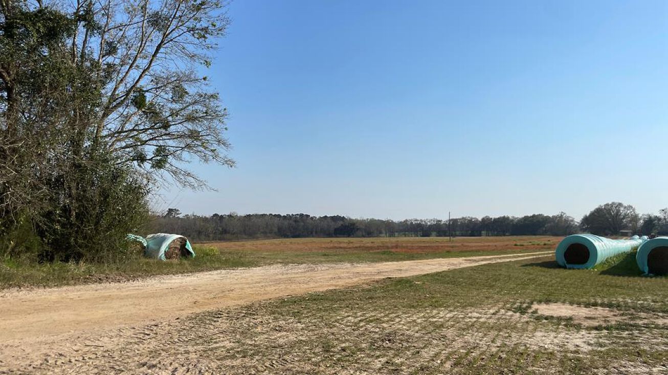 Prevatt Rd, Cowarts, AL 36321