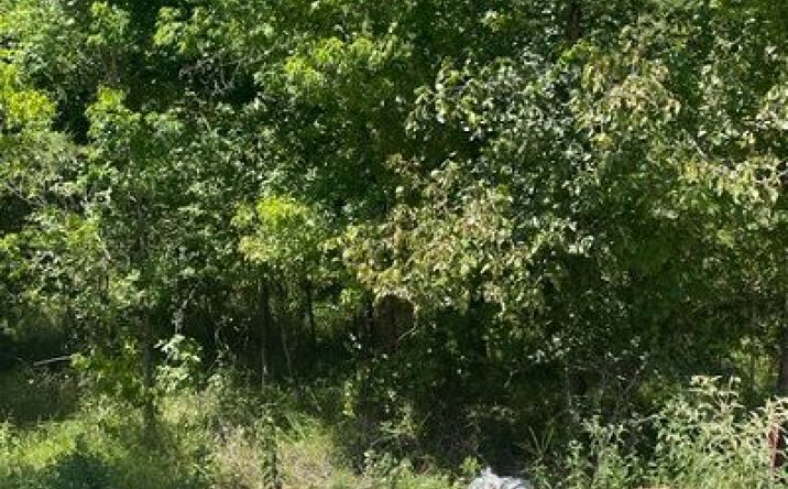 Pictures of Land property located at 624 Timber Creek, Broken Bow, OK 74728 for sales - image #1