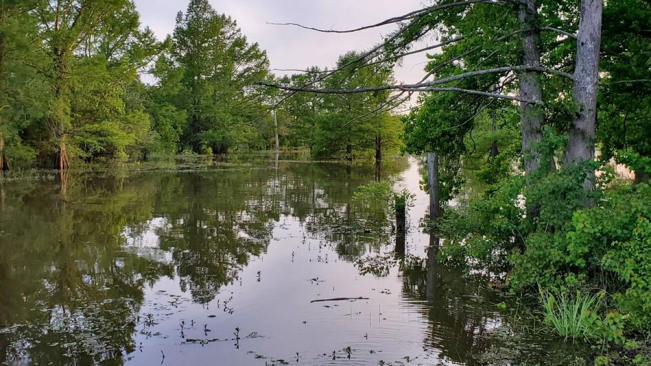 1 Copper Court, Zwolle, LA 71486