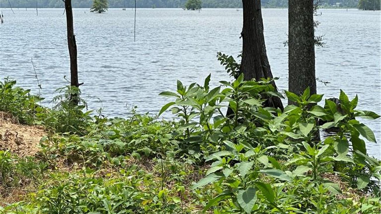 3 Copper Court, Zwolle, LA 71486