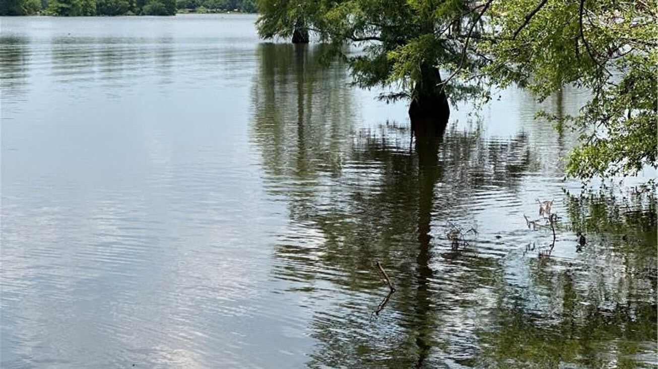 21 Copper Ct, Zwolle, LA 71486