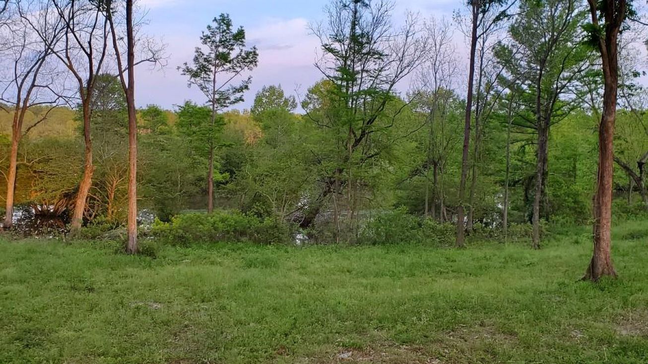 24 Copper Ct, Zwolle, LA 71486