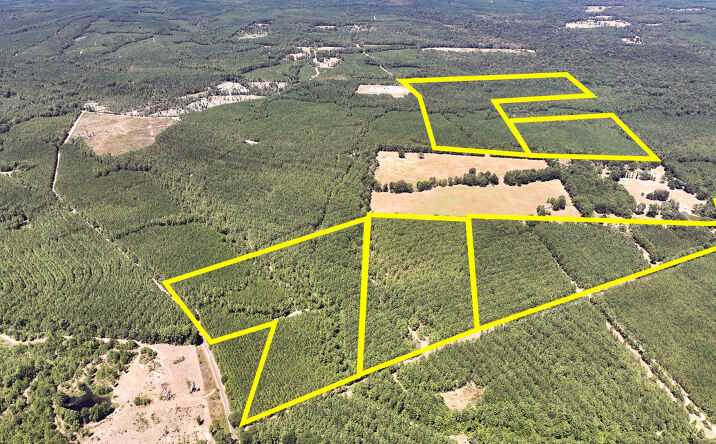 Pictures of Land property located at 13 Joskey Dykes rd, Nancy, TX 75980 for sales - image #1