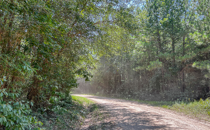 Pictures of Land property located at 15 Joskey Dykes Rd, Nancy, TX 75980 for sales - image #1