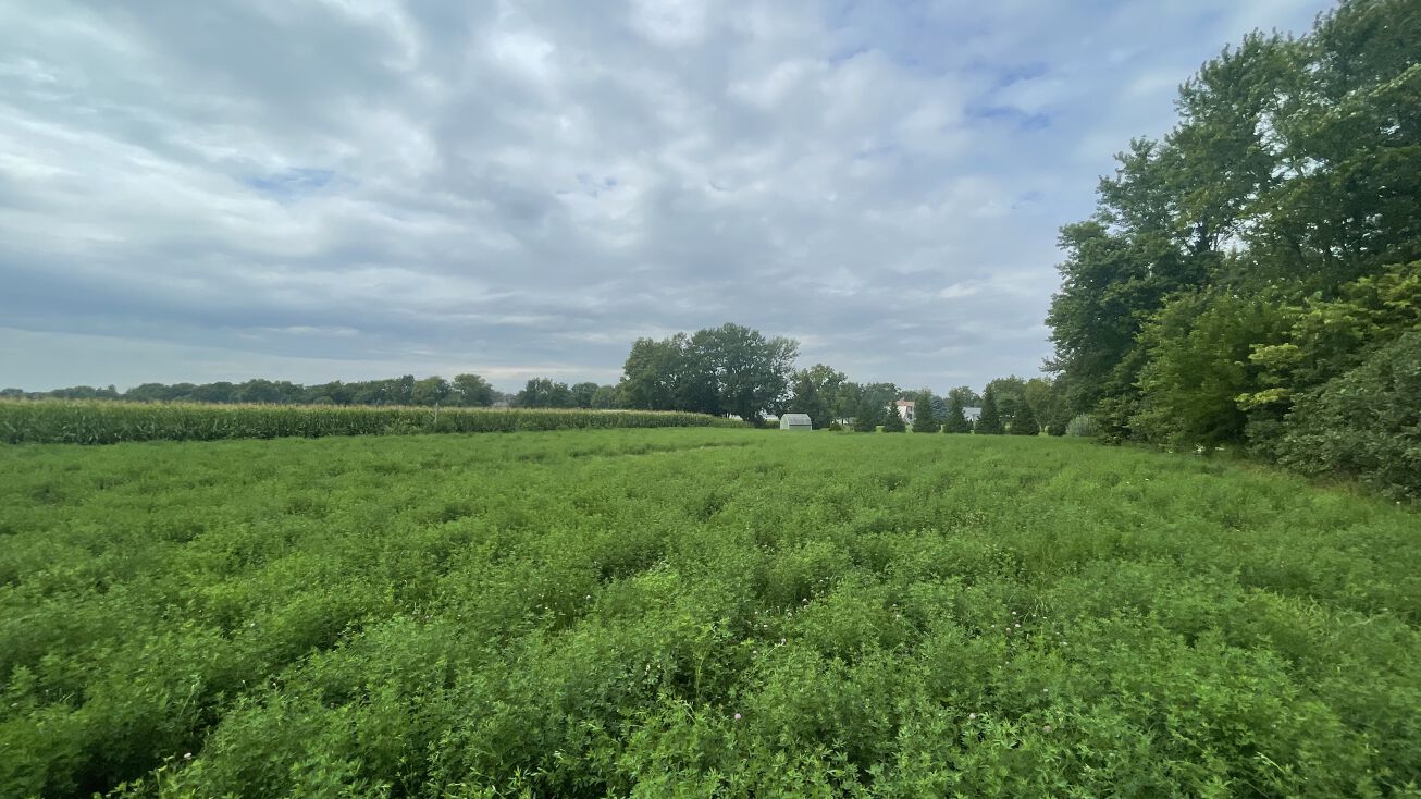 W 2nd St, Minonk, IL 61760