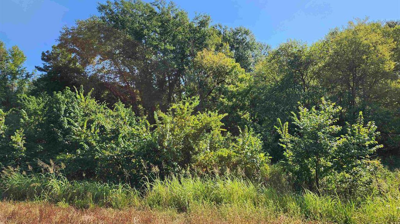 TBD HWY 110 N, Whitehouse, TX 75791