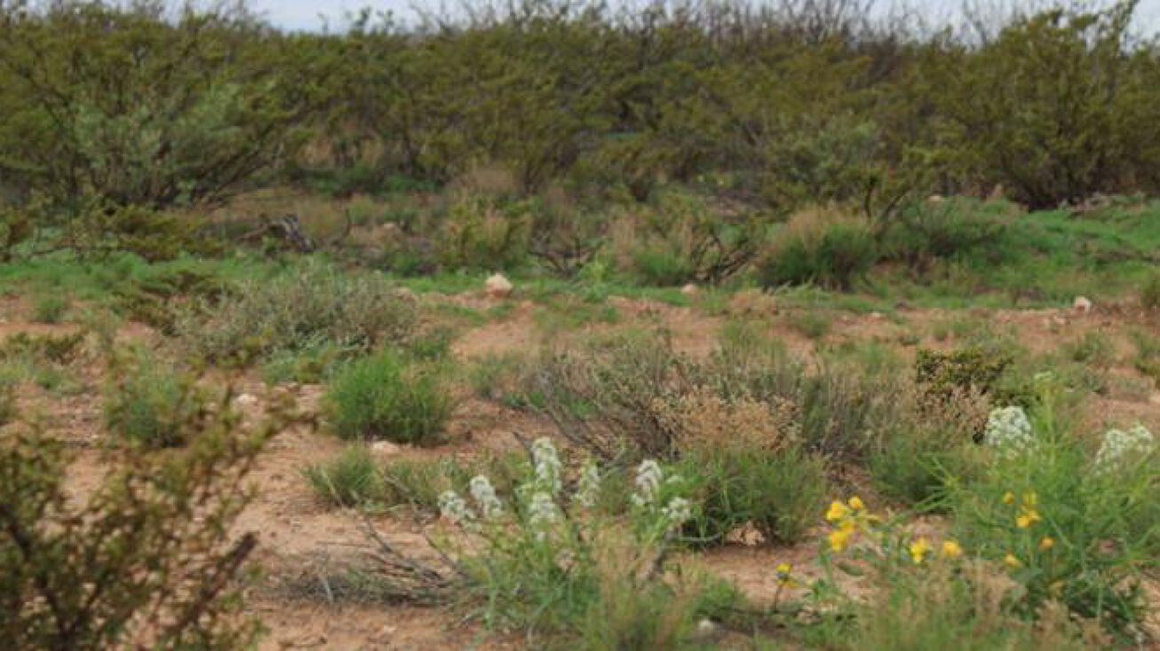 0000 Other Barstow, TX, Barstow, TX 79719