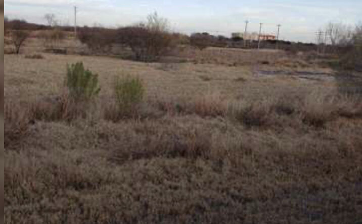 Pictures of Land property located at 0012 S Hwy 181, Kenedy, TX 78118 for sales - image #1
