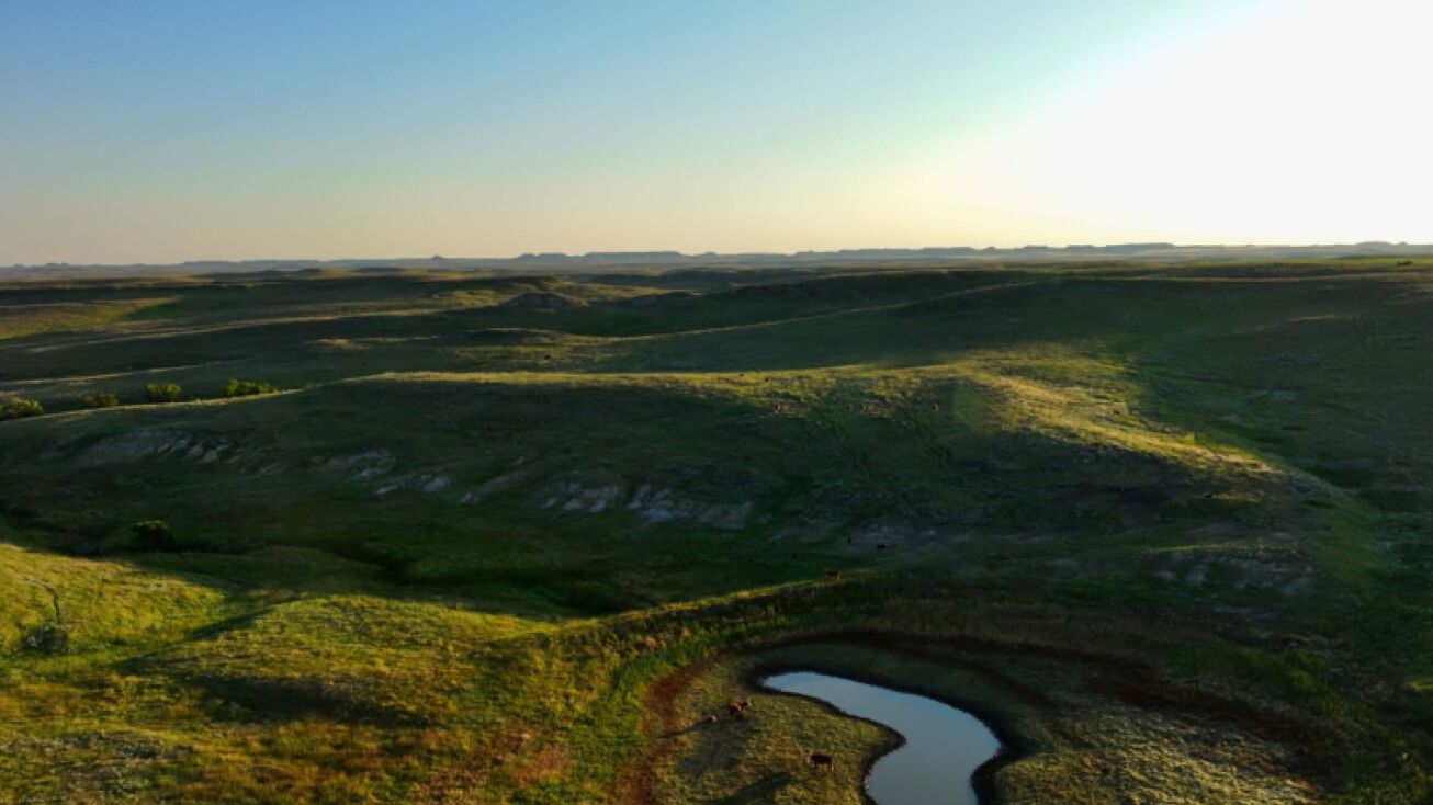 TBD Plevna Road, Ekalaka, MT 59324