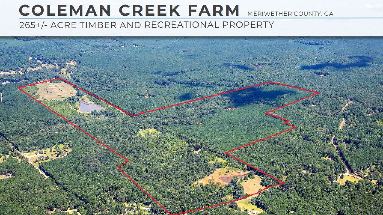 689 Coleman Creek Cir, Luthersville, GA 30251