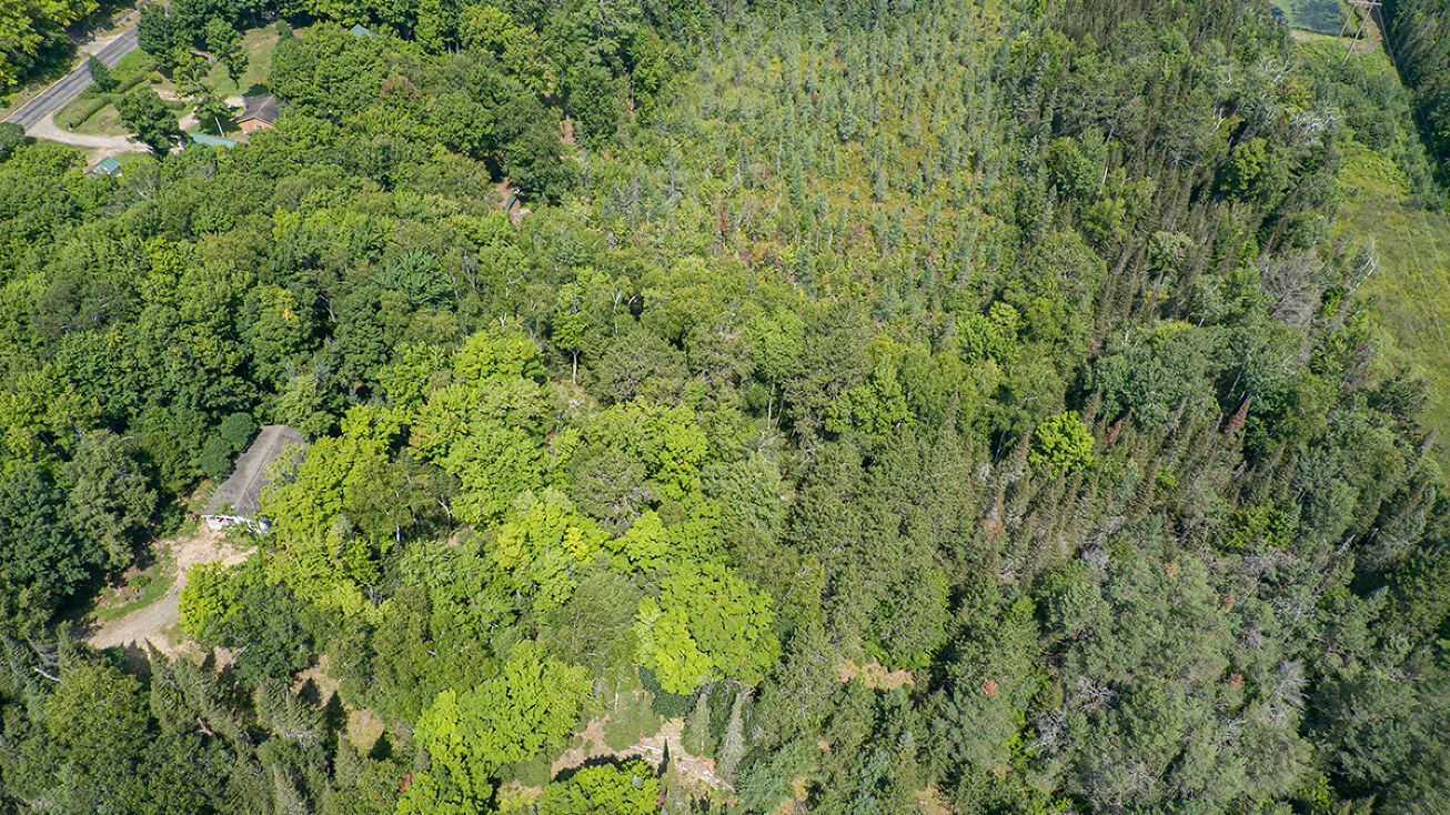 4708 Lyons Ln, Eagle River, WI 54521