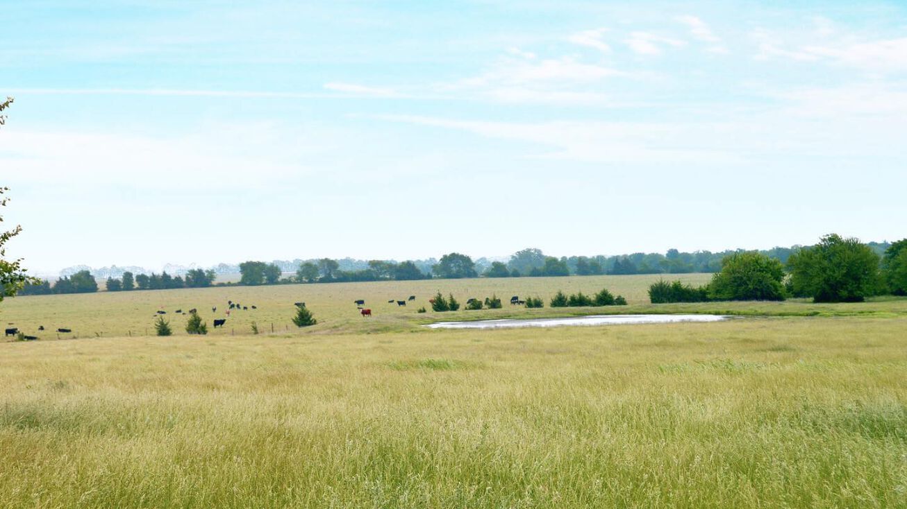 1519 Road, Bokchito, OK 74723