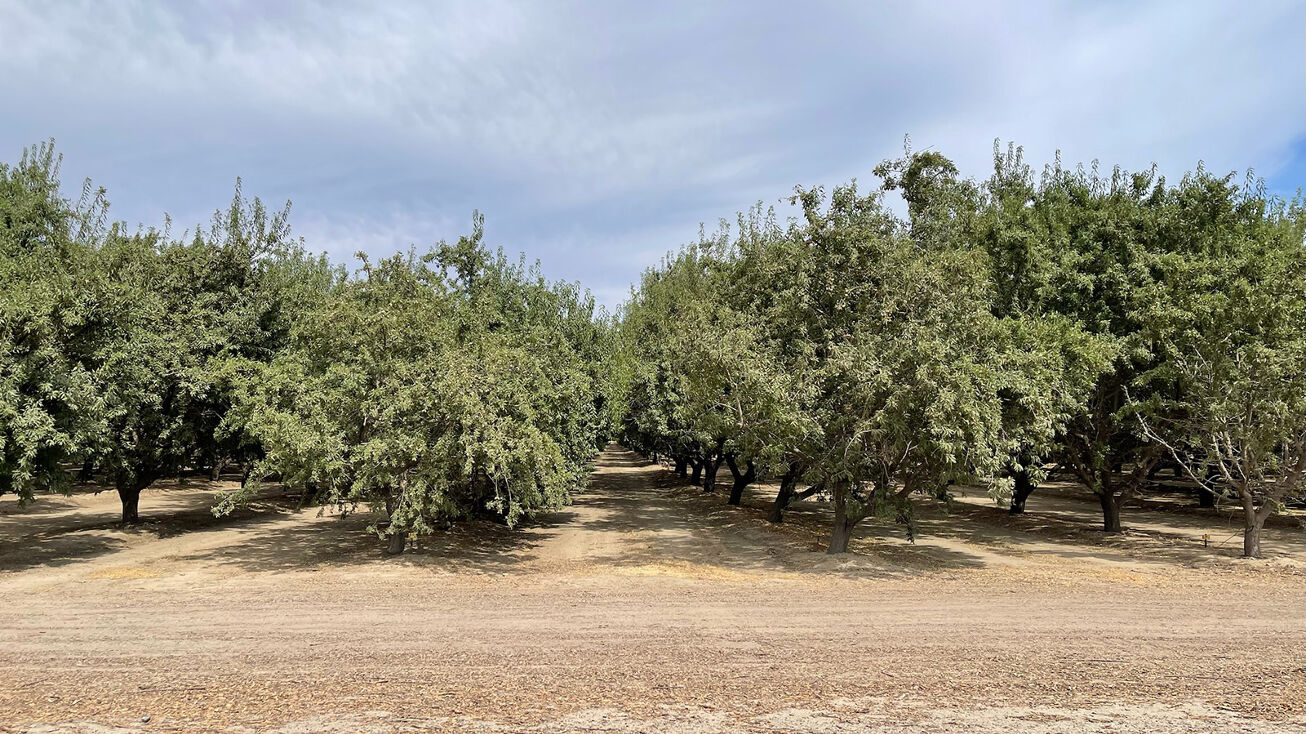 SEC of Shields & Howard Aves, Biola, CA 93630