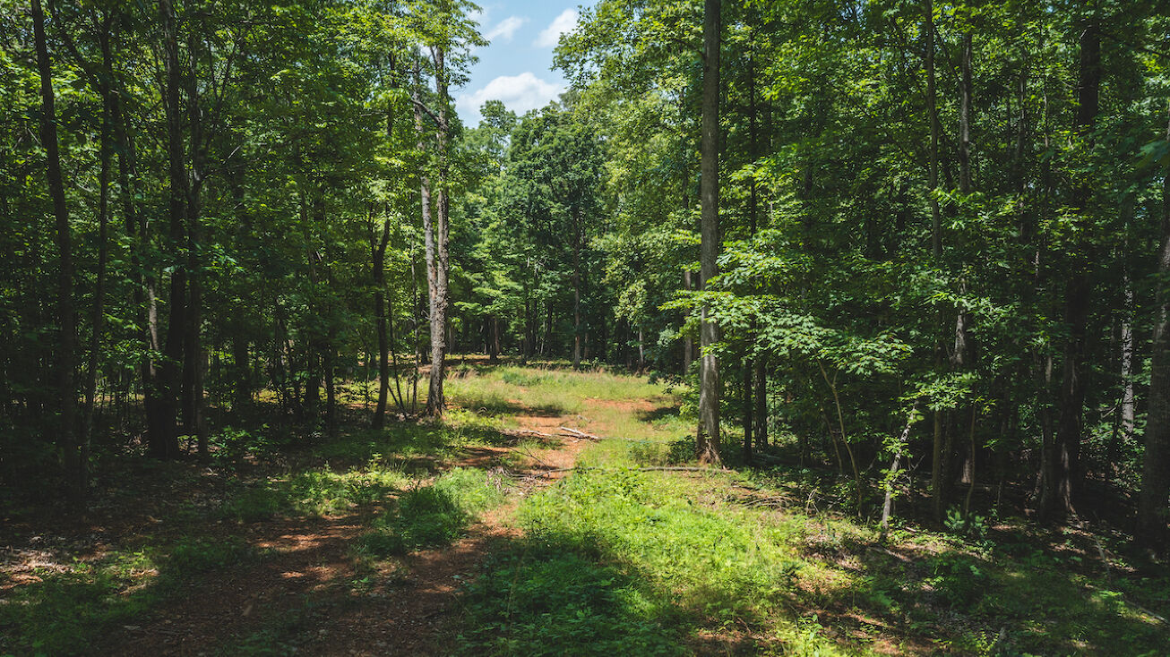 Lot 2 Lee Elgin Rd, Woolwine, VA 24185