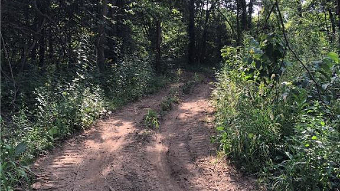 County Farm Road, Lexington, MO 64067