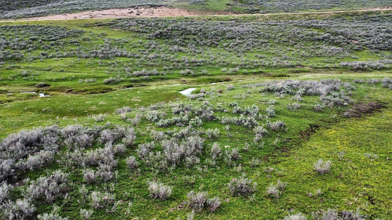 40 Acres Merna N Beaver Merna, Daniel, WY 83115