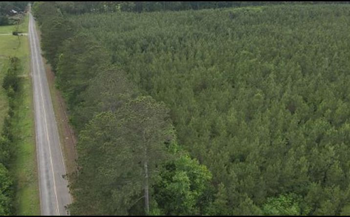 Pictures of Land property located at Old Pickens Road, 69897, MS 39090 for sales - image #1