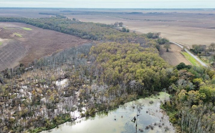 Pictures of Land property located at 237 King Williams Road, 69784, MS 38751 for sales - image #1