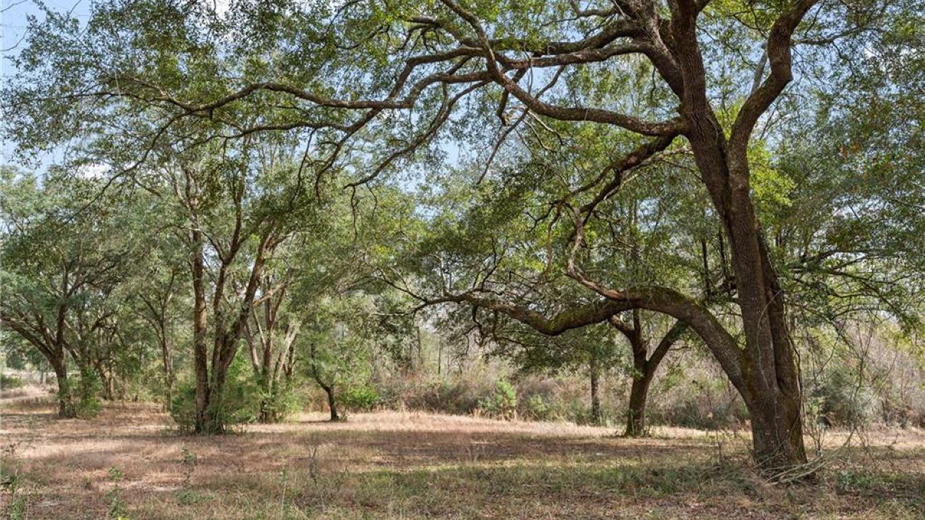 S Grand Bay Wilmer Rd S, Mobile, AL 36695