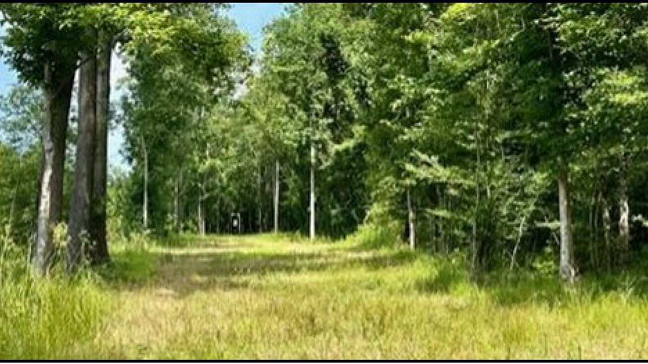 Lee Bass Road, Pinola, MS 39148