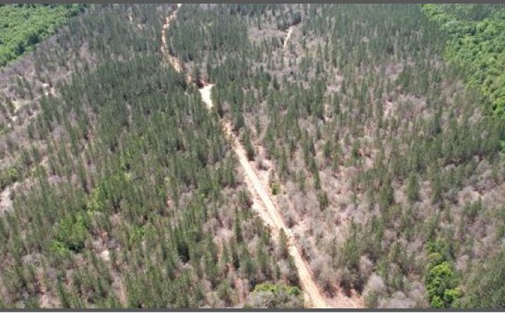 Pictures of Land property located at CR 1151, 71169, MS 39366 for sales - image #1