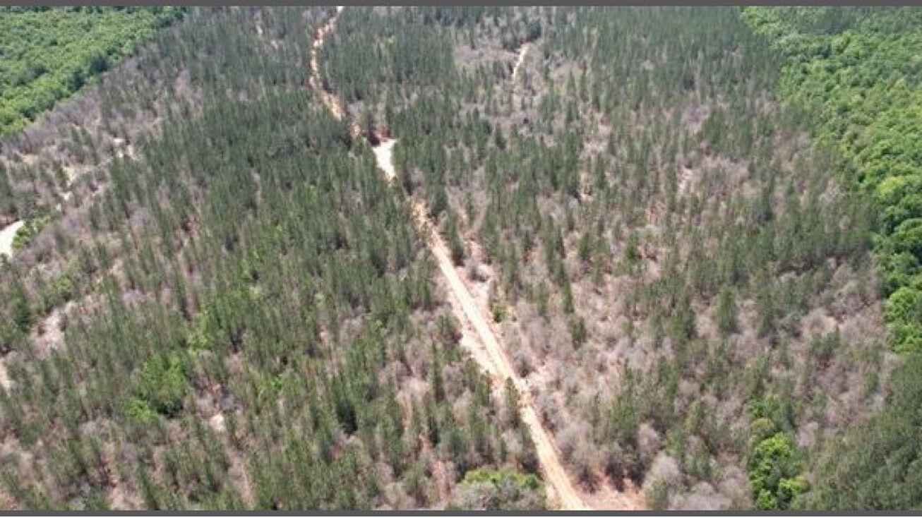 CR 1151, Vossburg, MS 39366