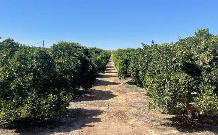 Pictures of Land, Mixed Use property located at Famoso Rd, Bakersfield, CA 93308 for sales - image #1