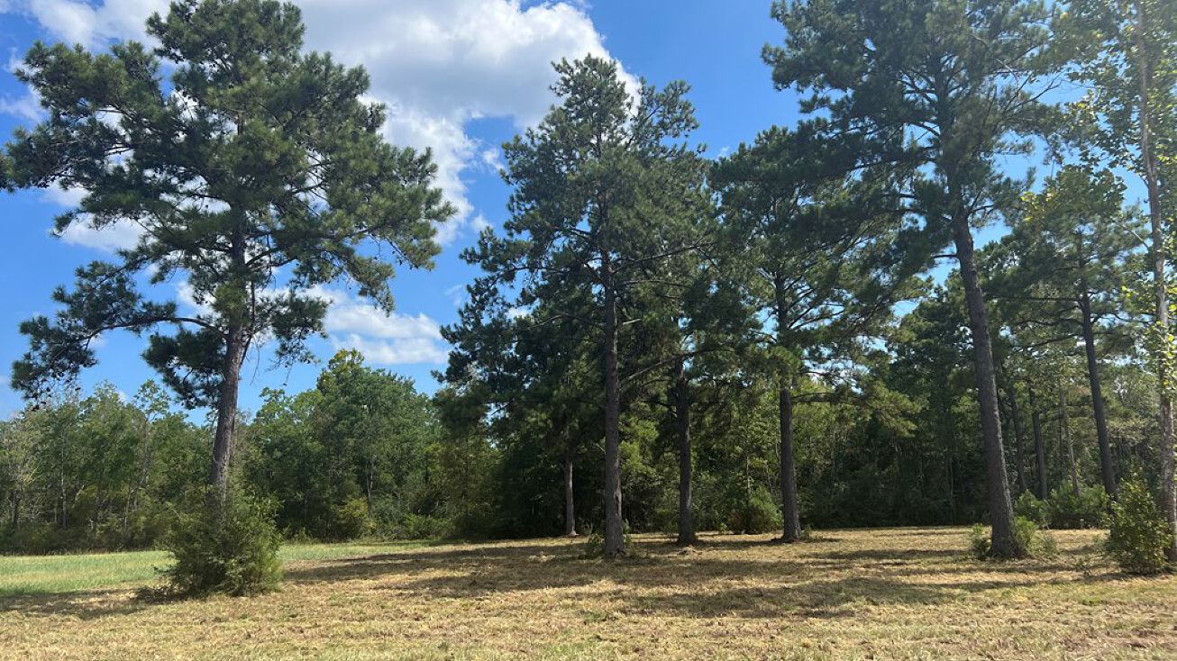 52 Boaz Rd., Picayune, MS 39466