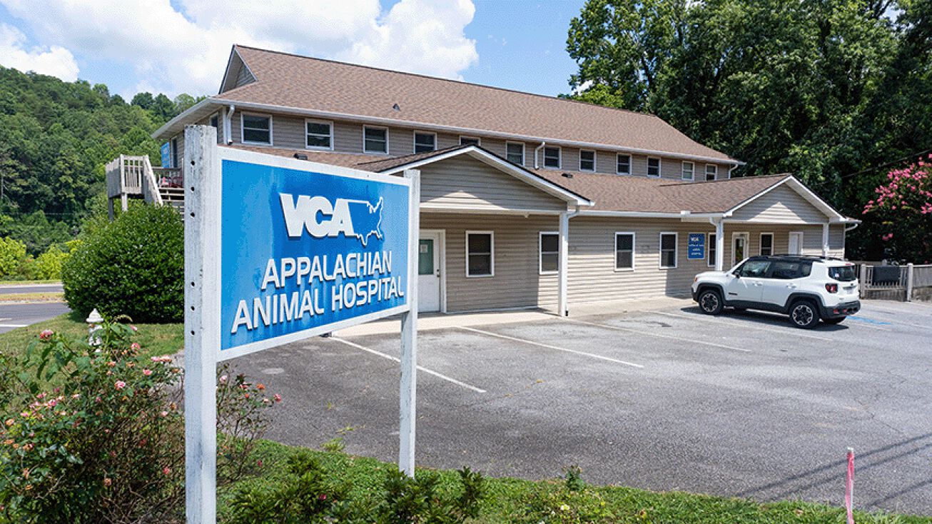 125 Mulberry St, East Ellijay, GA 30540