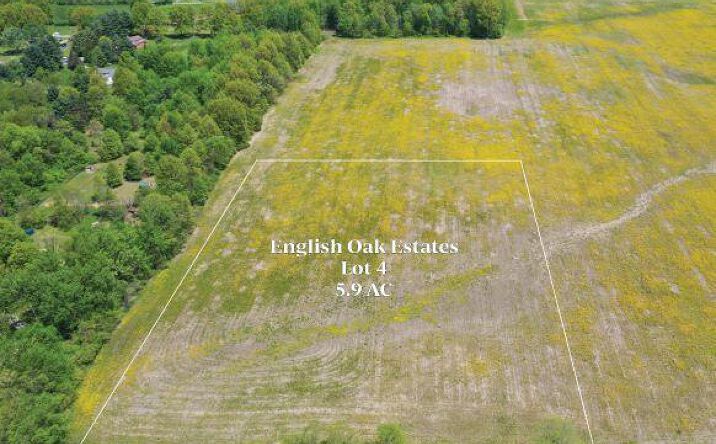 Pictures of Land property located at 0 Woodtown Road, Galena, OH 43021 for sales - image #1