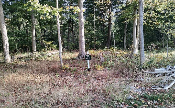 Pictures of Land property located at 186 Markway Dr, Pataskala, OH 43062 for sales - image #1