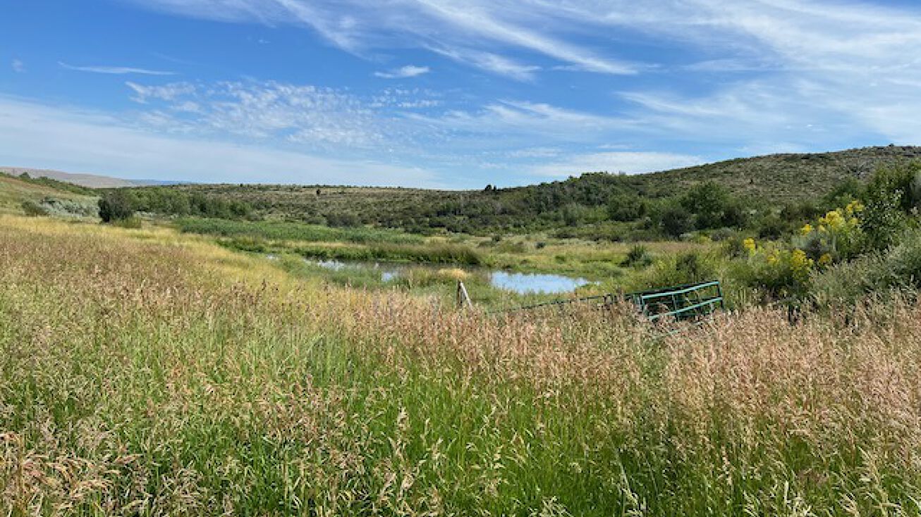 Dan Creek Rd, Swan Valley, ID 83449